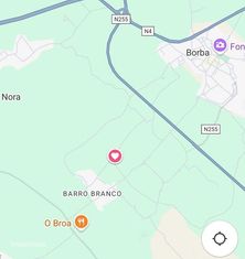 Venda de Olivais Barro Branco/ Borba. Rústico. Alentejo [Évora] - Grande imagem: 5/6