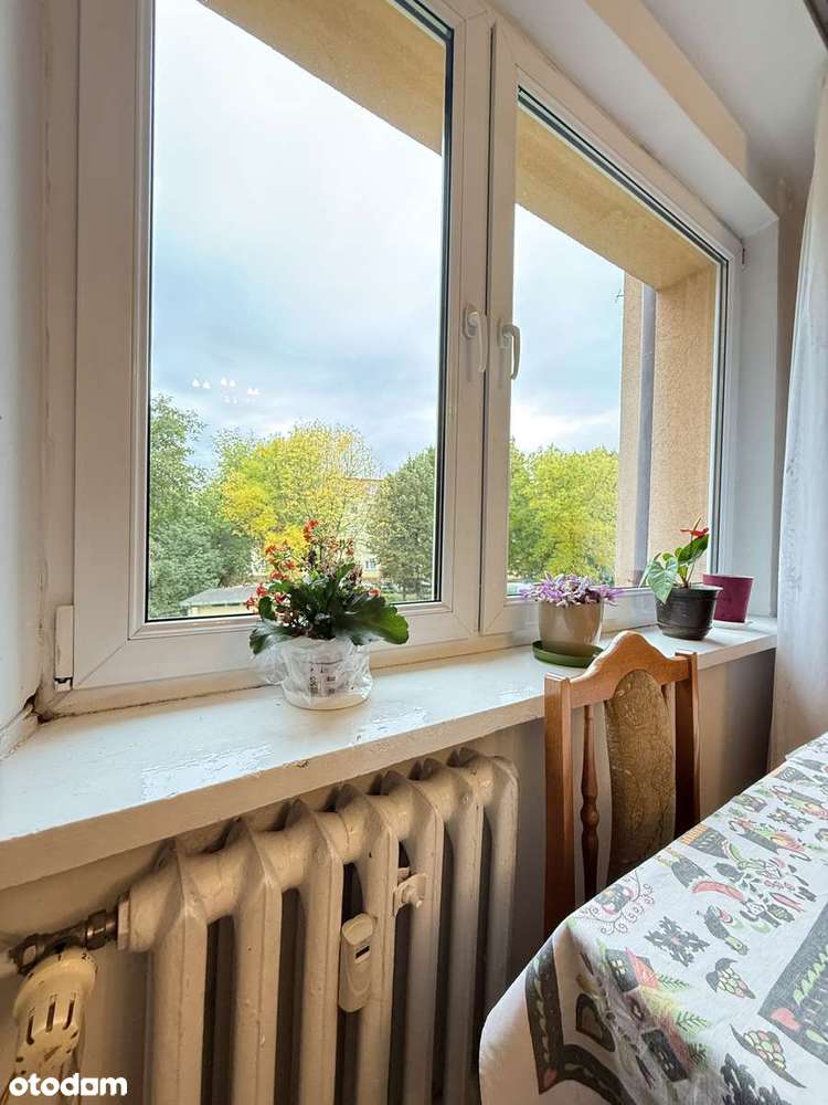 1 piętro, osobna kuchnia, piwnica, - Pełny obrazek: 4/15