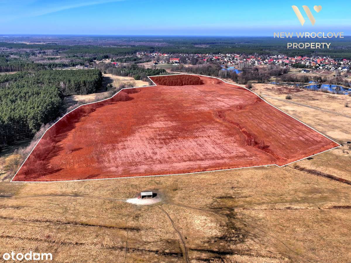 Ogromna działka budowlana, możliwy podział - Pełny obrazek: 5/10