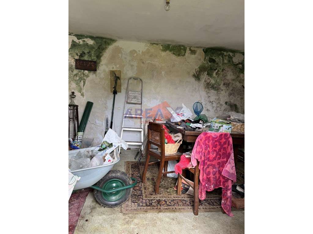 Oportunidade: 2 casas + artigo rústico com 2,0648 ha, perto de Oliv...-16