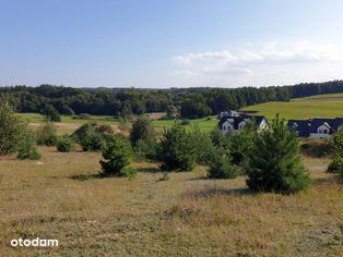 Działka budowlana Luzino / Barłomino