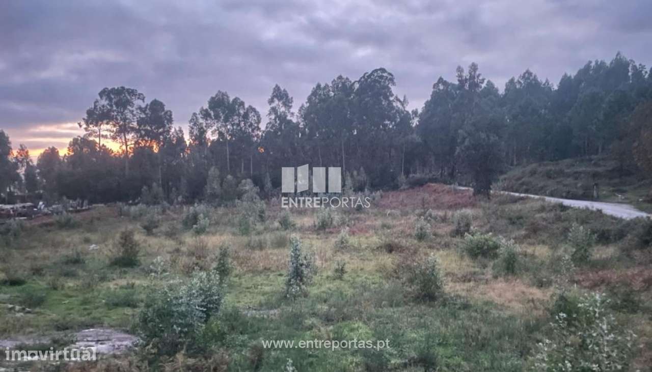 Venda de Terreno Industrial, Cardielos, Viana do Castelo - Grande imagem: 2/29