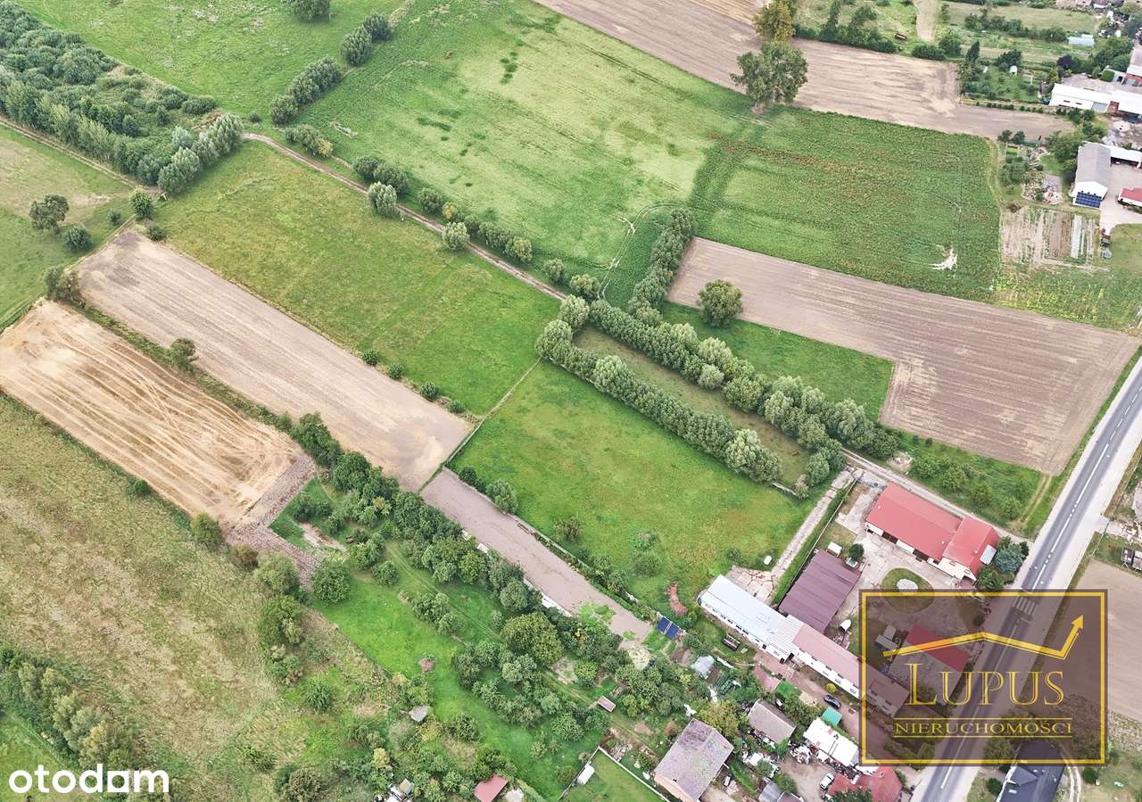 Działki budowlane w Kunowie - Pełny obrazek: 4/16