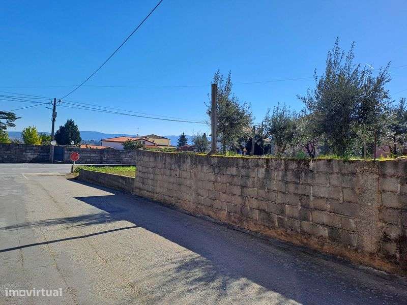 Dominguiso - terreno para construção - Grande imagem: 5/8