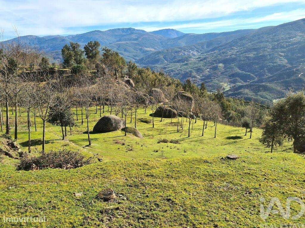 Quinta T2 em Lagos Da Beira E Lajeosa de 32320,00 m2 - Grande imagem: 3/30