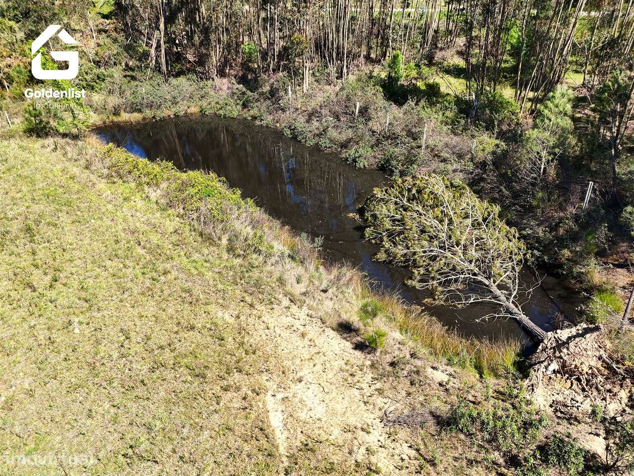 Quintinha  Venda em Fratel,Vila Velha de Ródão-15