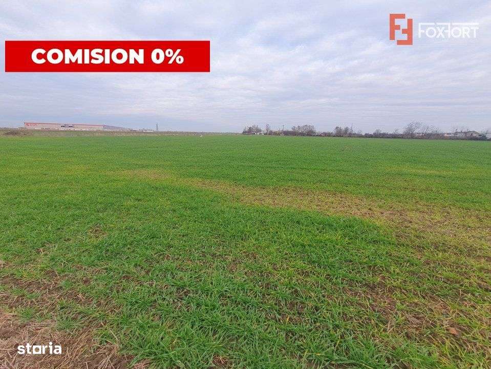 COMISION 0% Teren intravilan industrial 28.395 mp la sosea in Sag - Imagine principală: 5/8