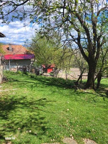 Vand casa batraneasca plus teren in Musetesti Gorj - Imagine principală: 4/4