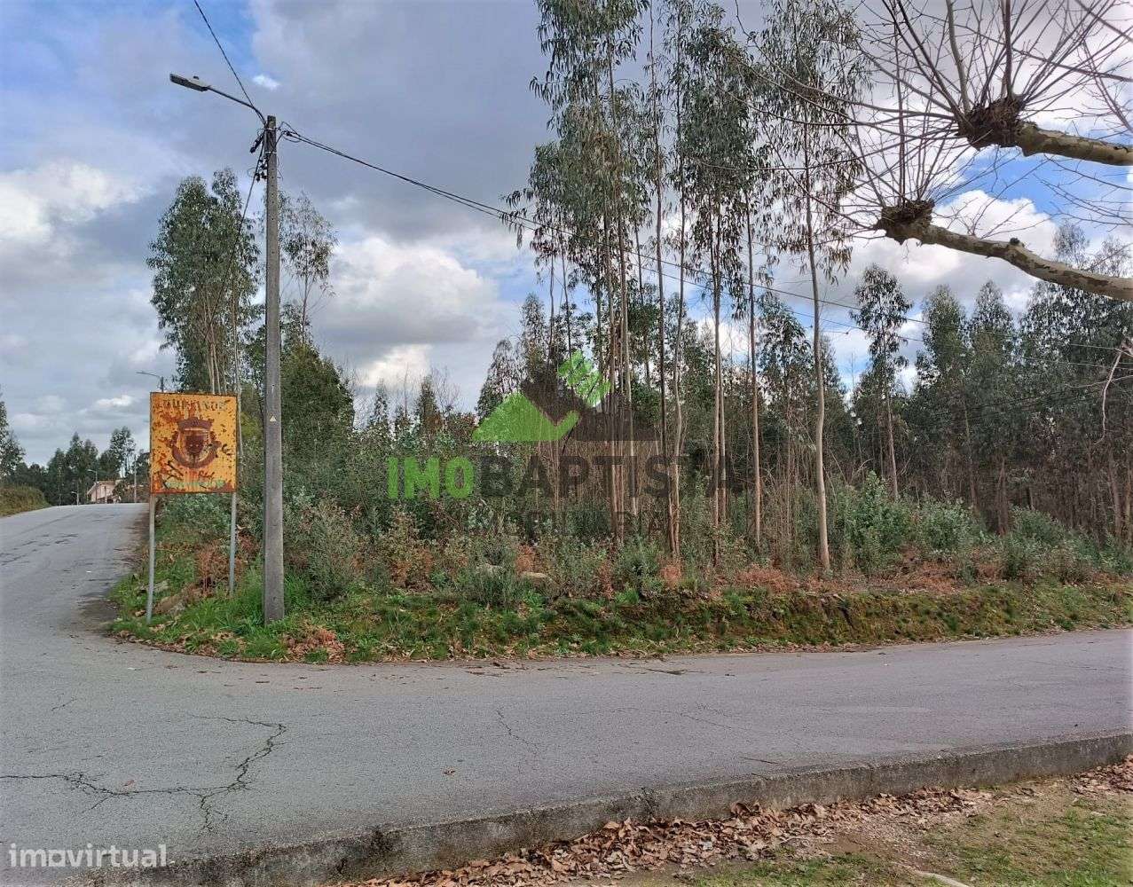 Terreno p/ construção em Guisande (5500 m2)-7