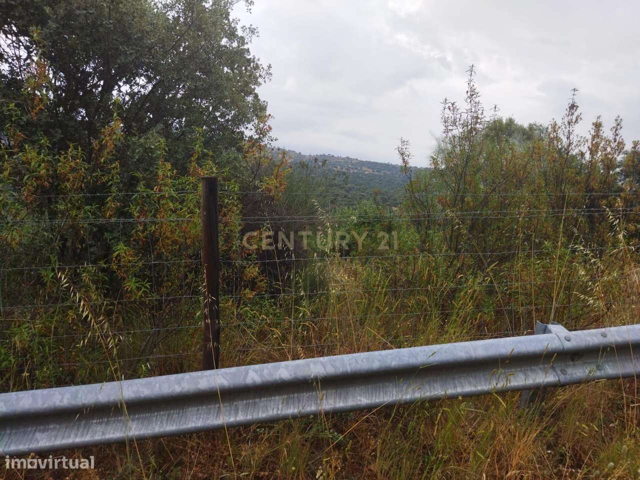 Terreno Rústico | Lousa, Castelo Branco - Grande imagem: 5/8