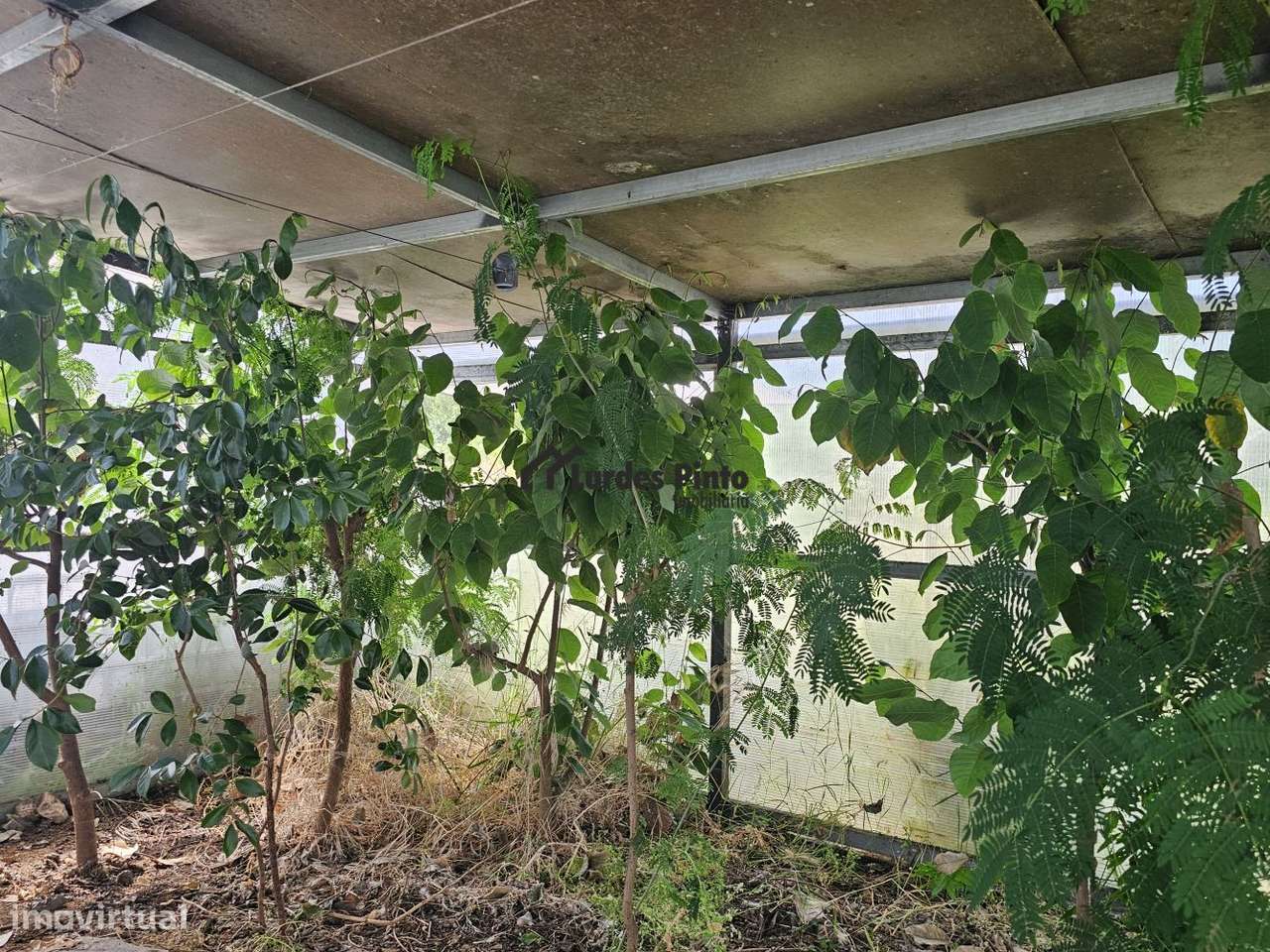 Quinta com habitação-12