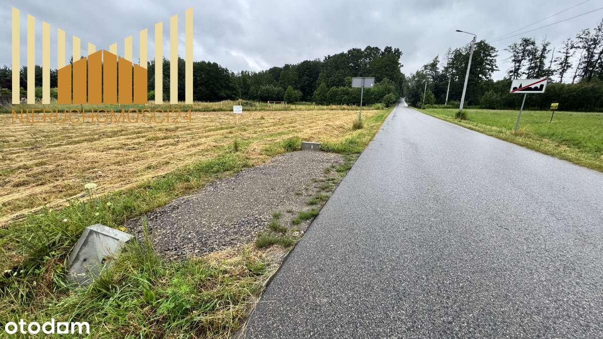 Atrakcyjna Cena - Pełny obrazek: 5/6