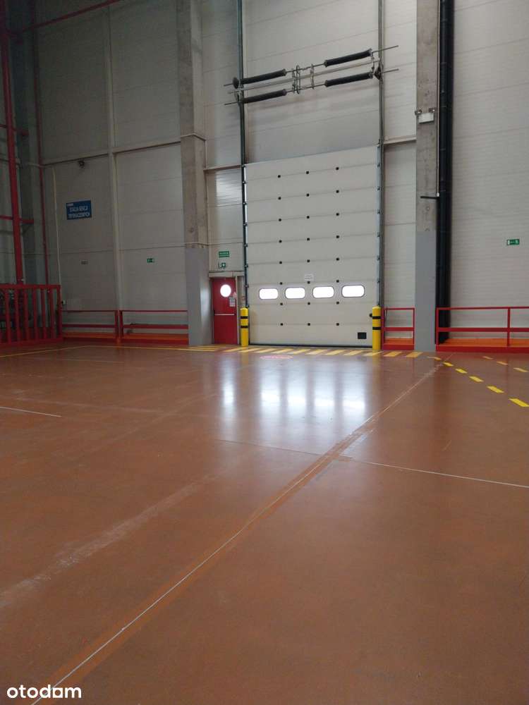 Magazyn na wynajem/ 17 000 m2/ Tomaszów Mazowiecki/ regały - Pełny obrazek: 5/5