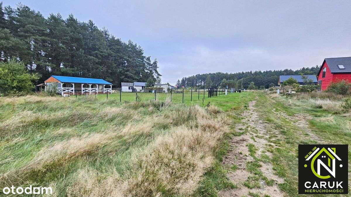 Działka budowlana przy lesie Kołczewo - Pełny obrazek: 5/7