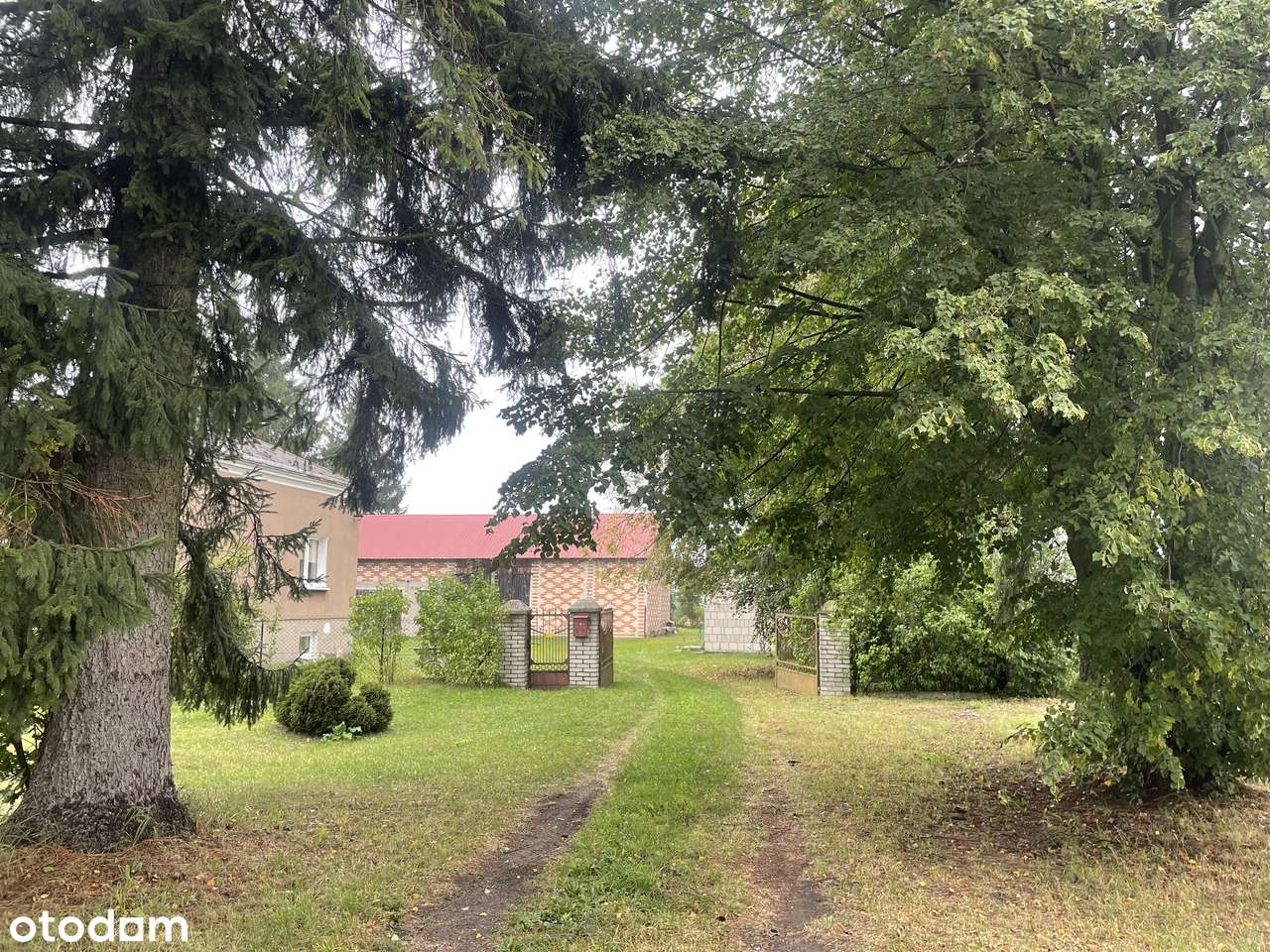 Dom wolnostojący + działka rolna 1ha, Wołkowiany, gm. Żmudź - Pełny obrazek: 4/15