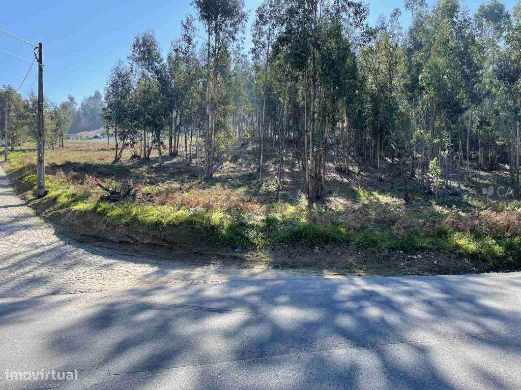 Terreno construção - Grande imagem: 2/2