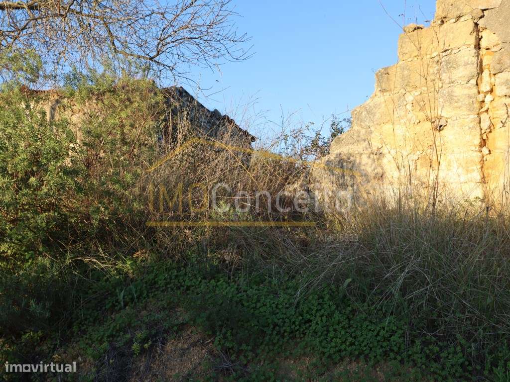 Terreno misto|| são Vicente do Paul|| Santarém - Grande imagem: 4/27