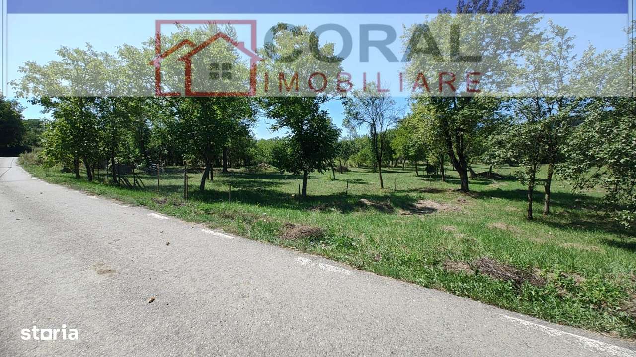 De vanzare teren intravilan Barsau - Imagine principală: 1/5