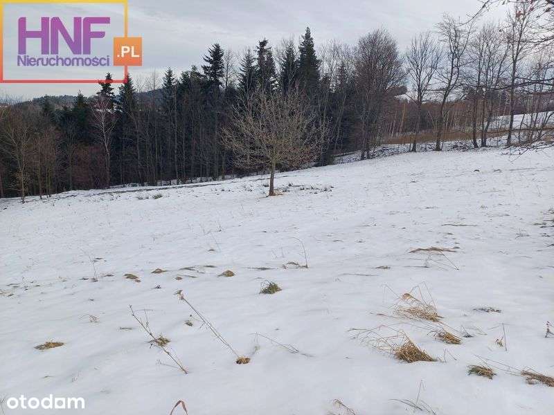 Działka 50,62ar w miejscowości Męcina - Pełny obrazek: 4/9