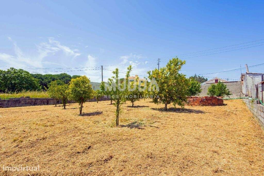 Oportunidade em Azurva – Moradia Isolada com Grande Terreno!-36