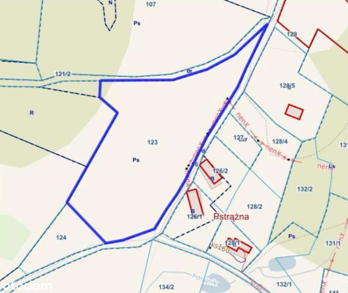 Działka w Kudowie-Zdroju-2