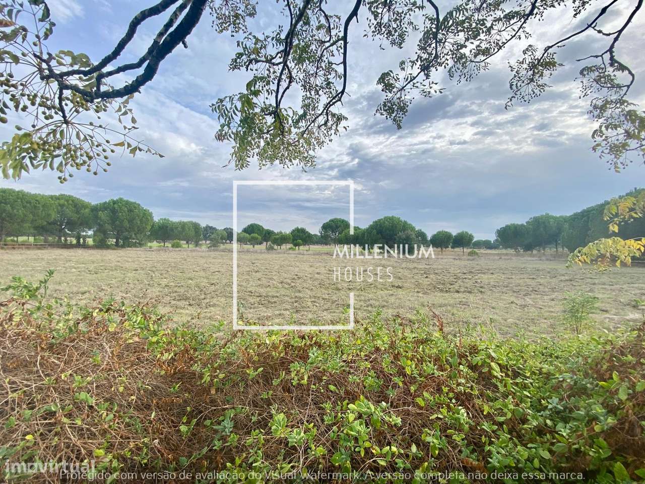 Terreno Urbano | 1. ª LINHA GOLFE | Vila Nova de Santo Estêvão-2