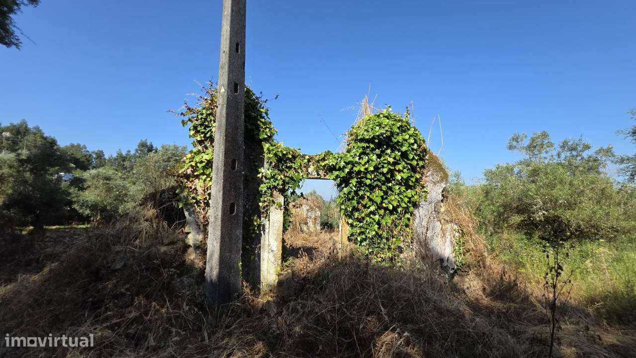 Ruína nas Olalhas a 3 kms de Ferreira do Zêzere e do Rio Zêzere - Grande imagem: 4/26