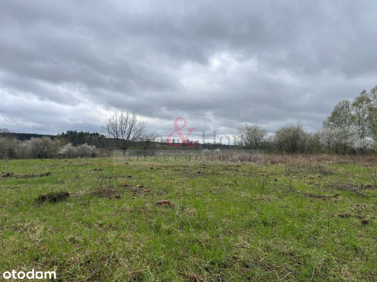 Duża działka z fragmentem pod zabudowę Sarbsk - Pełny obrazek: 4/11