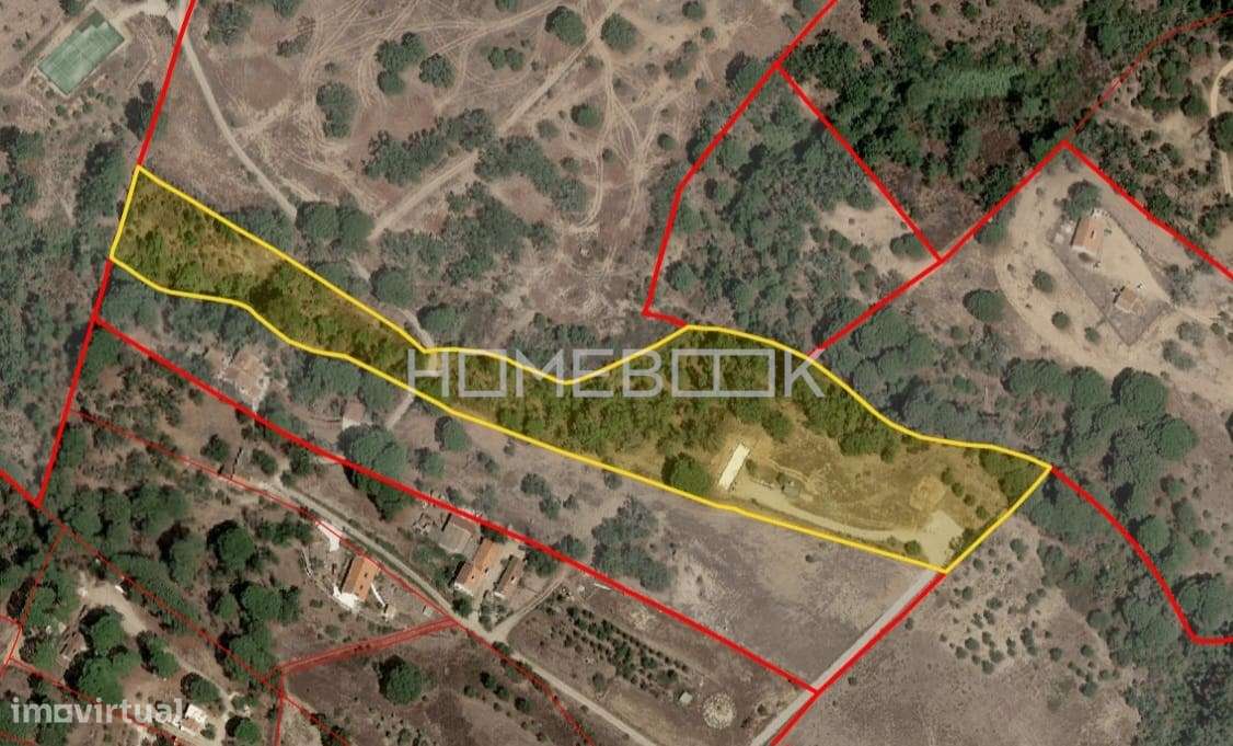 Terreno com projeto aprovado em Melides - Grande imagem: 5/12