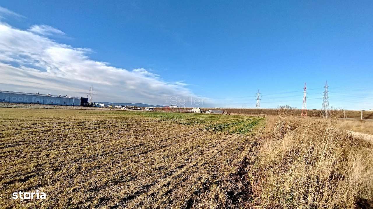 Teren Industrial - Imagine principală: 3/12