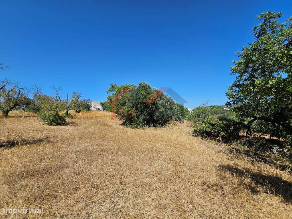 Moradia tradicional V5 para recuperar com terreno de 31.000 m2 - Loulé-10