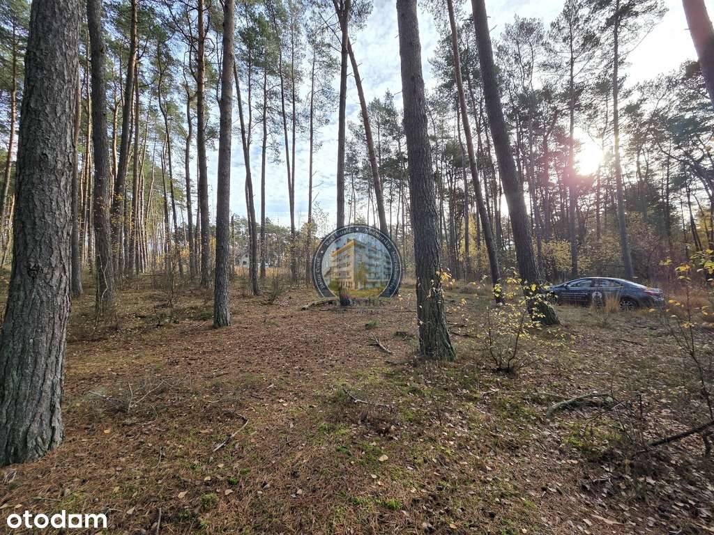 Działka w lesie, pod dom 900 m od plaży-10