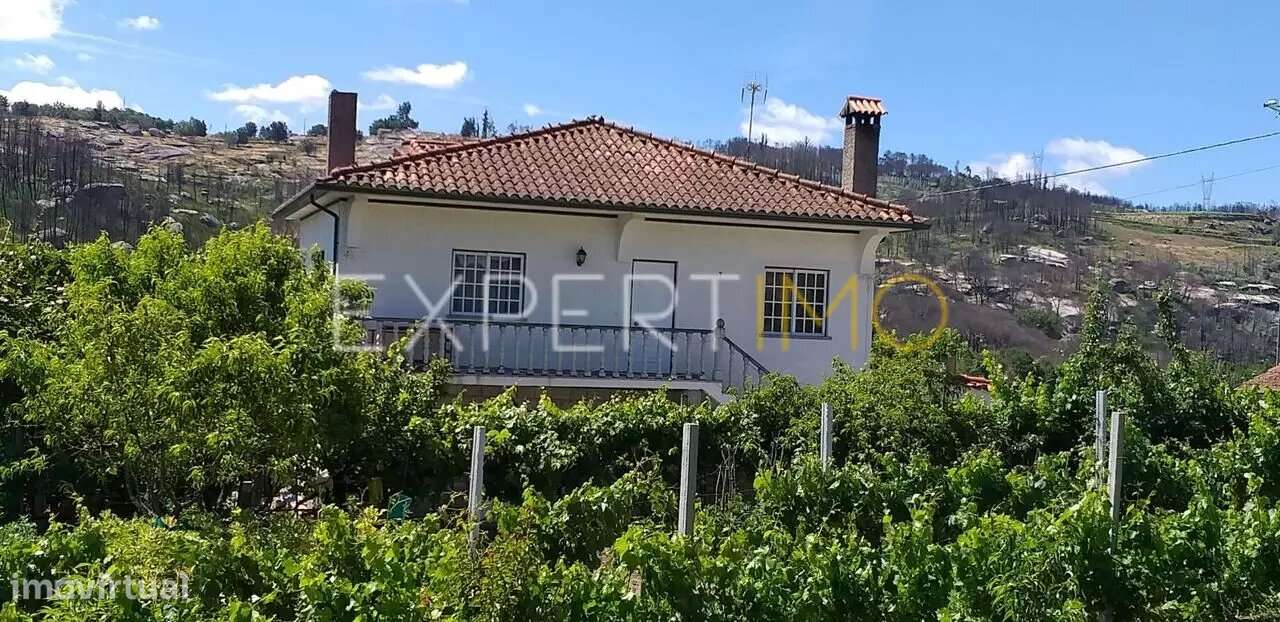 Quinta com casa V4 Oliveira do Hospital - Grande imagem: 2/25