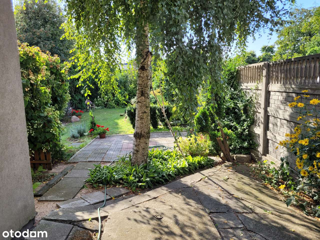 Kamienica w Starym Rynku-18