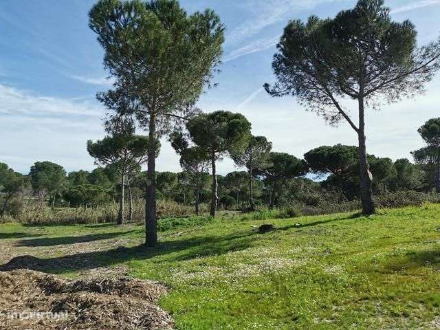 Terreno com 8.5 hectares casa para reconstruir - Grande imagem: 4/52