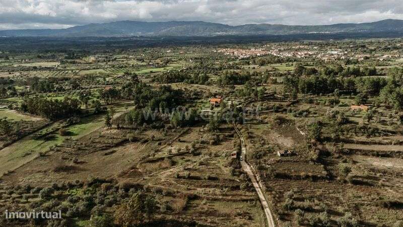 Quinta / Fundão, Orca - Grande imagem: 5/5