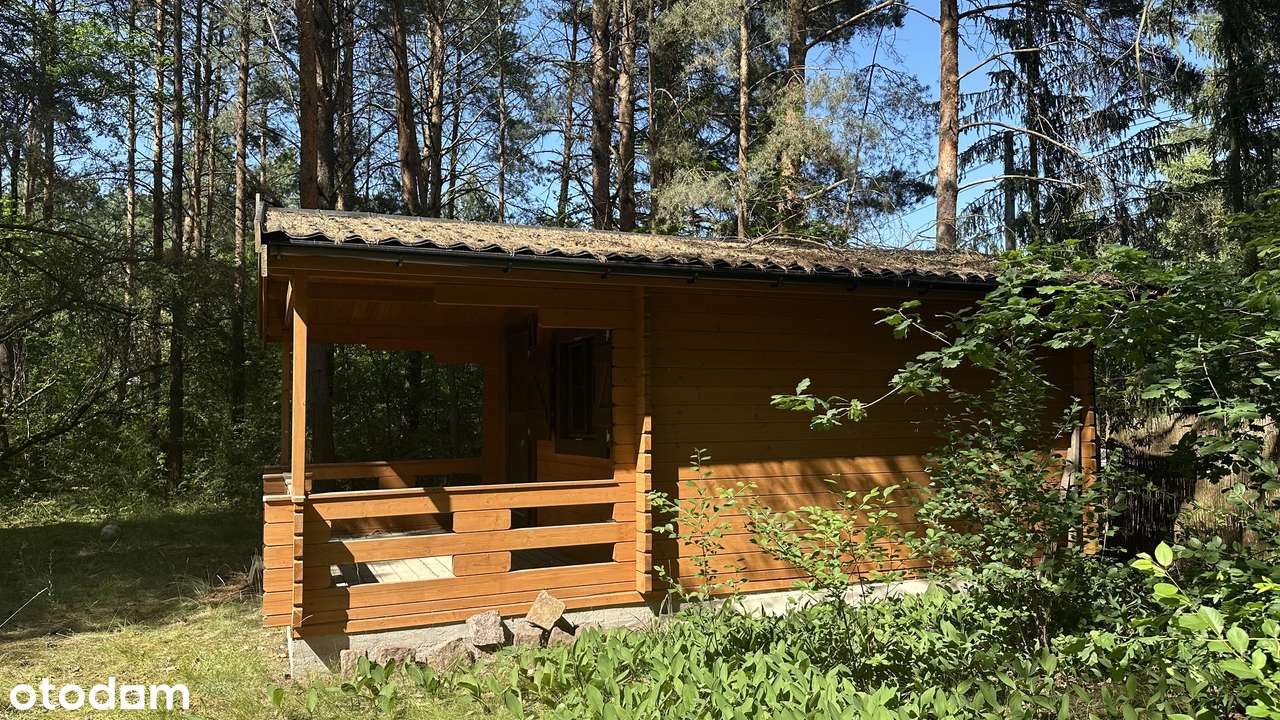 Piękna działka w środku lasu niedaleko Narwii - Pełny obrazek: 5/12