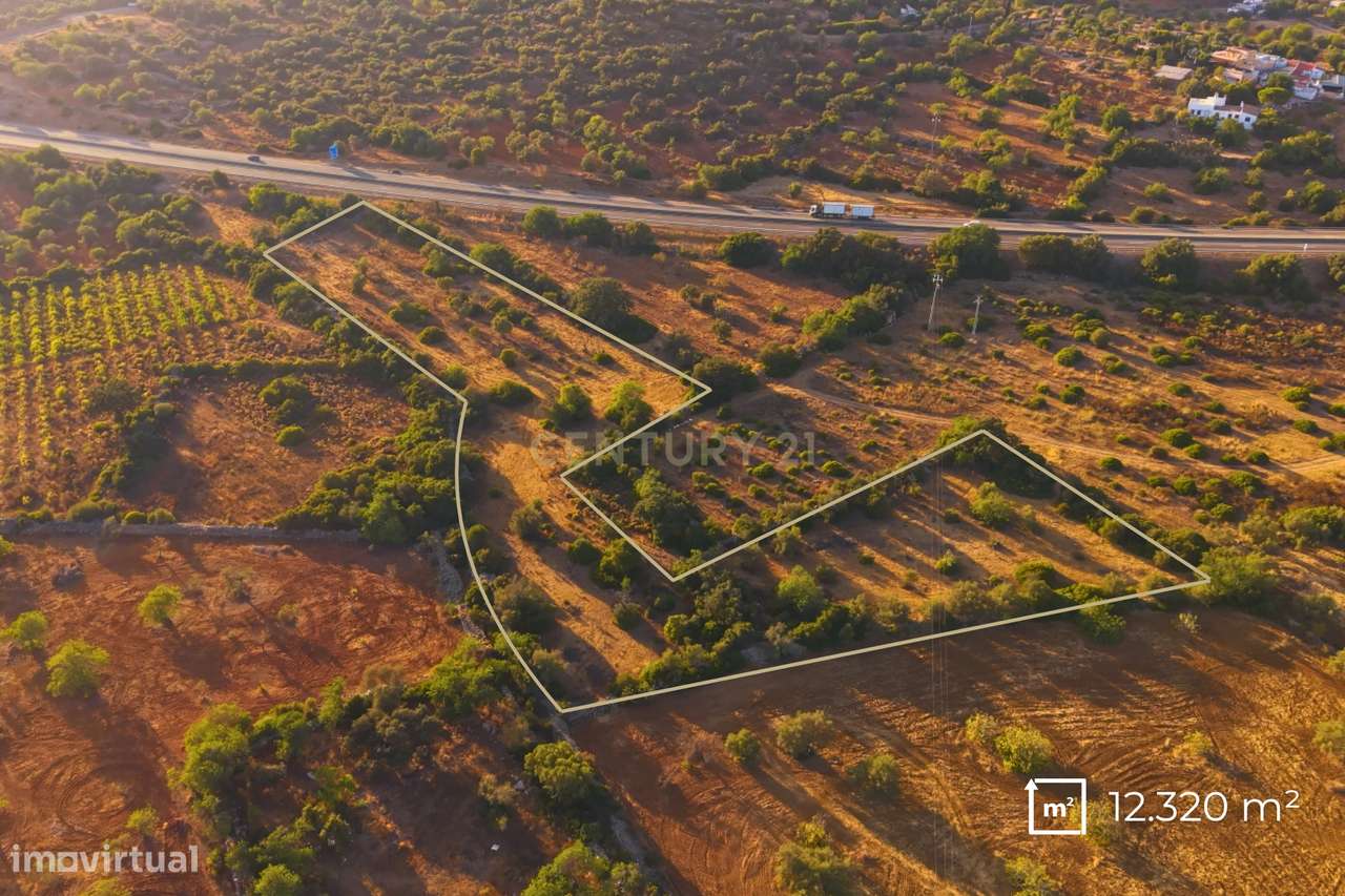 Terreno Rústico com 12.300 m² em Moncarapacho - Olhão - Algarve-3