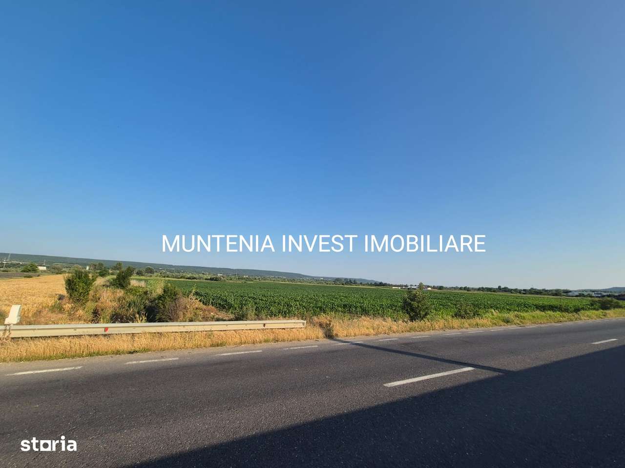 Teren 31703 mp. intravilan Purcăreni, Com. Micesti - Imagine principală: 1/5