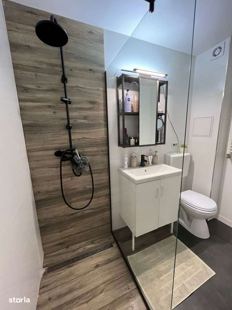 Cartier Brancusi ANL Coloana infinitului-9