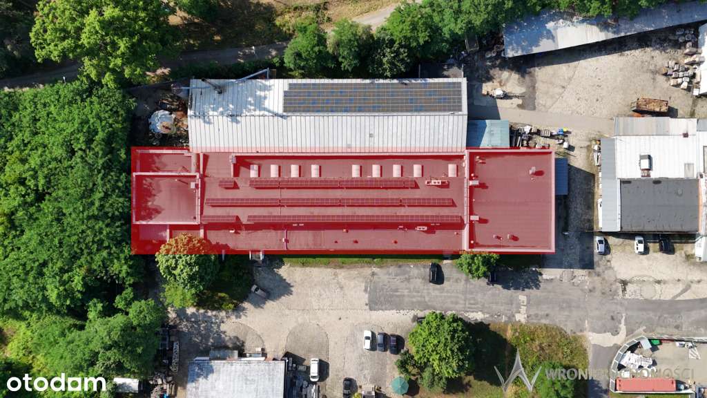 Hala magazynowo-produkcyjna - Pełny obrazek: 3/17