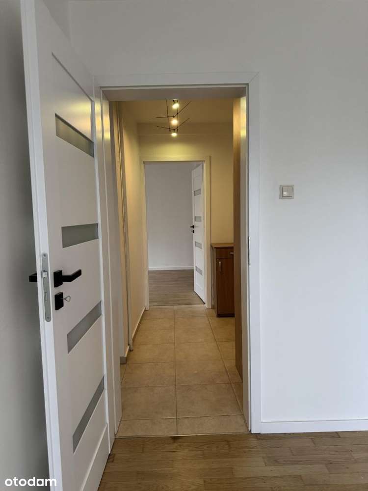 Interesująca oferta godna uwagi ####-12