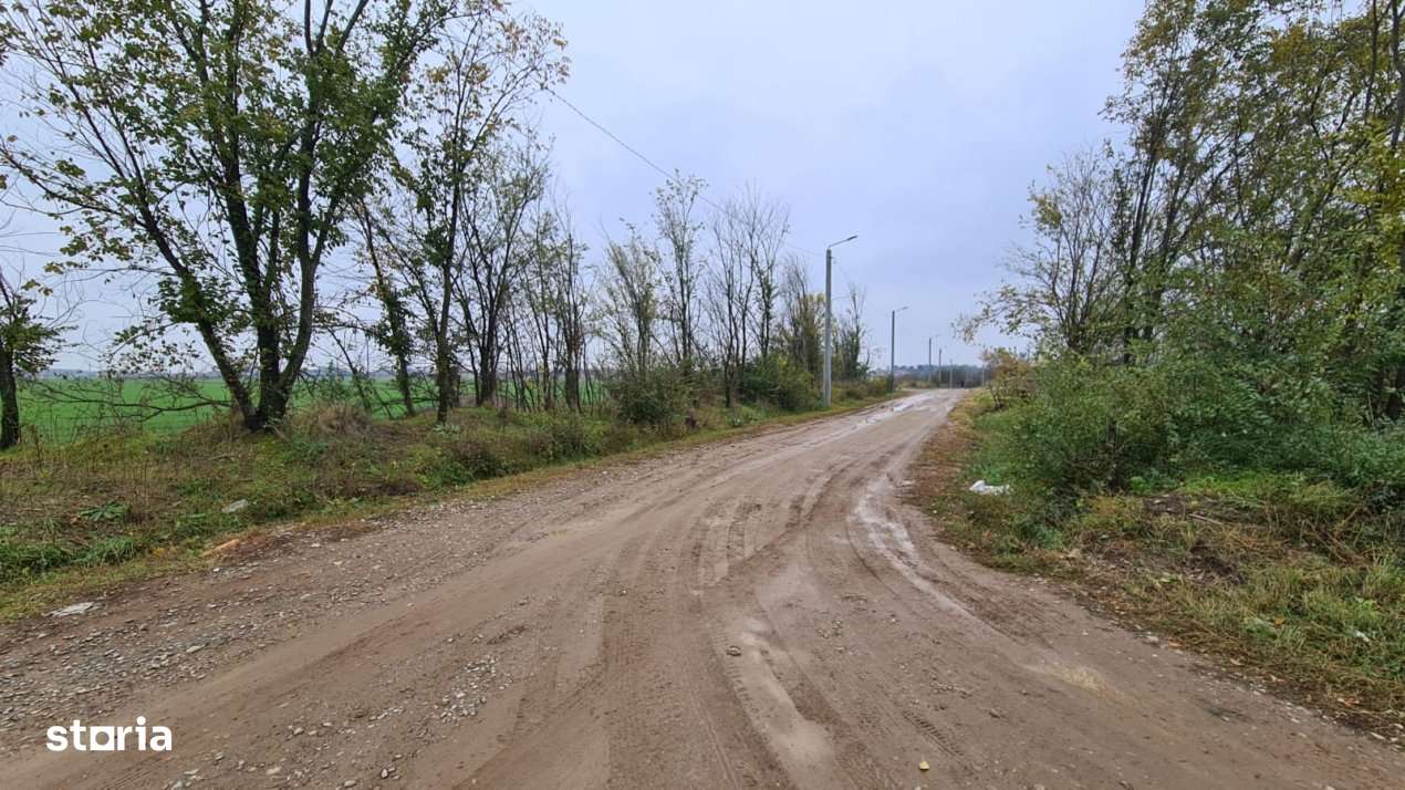 Teren Branesti -Romancierilor - Imagine principală: 5/7