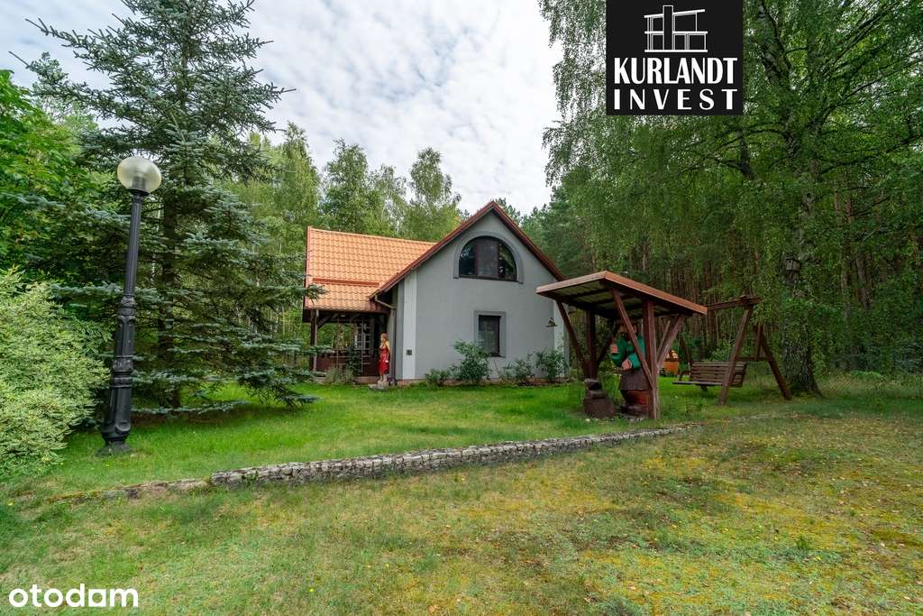 Dom z lasem Kowalskie Błota Bory Tucholskie-10