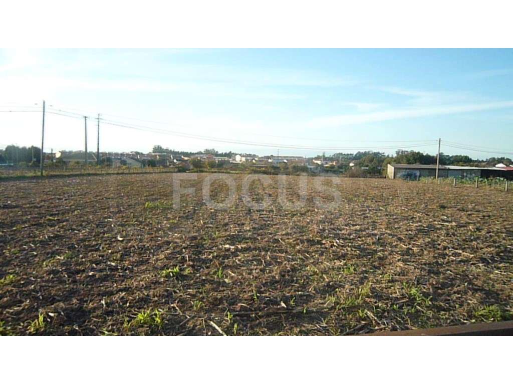 Terreno para construção - Cacia - Grande imagem: 2/3