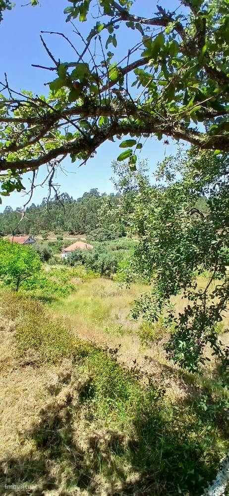 Terreno de construção em Furadouro, Sabacheira no concelho de Tomar - Grande imagem: 4/12