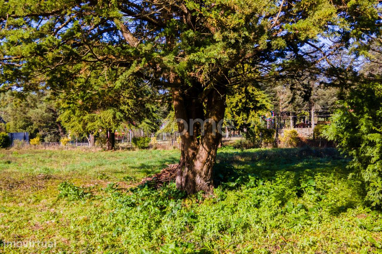 Terreno com 22.000 m2 em frente à A28 nó de Antas, Esposende - Grande imagem: 1/26