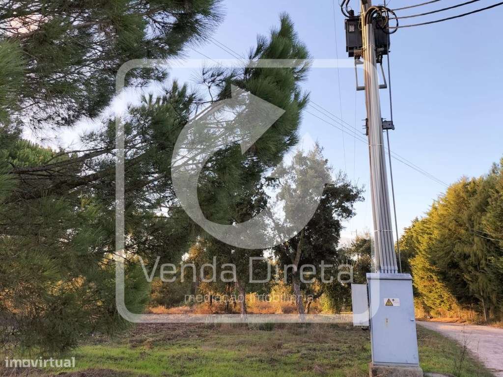 Terreno com 110.000 m2 junto à Nacional 10 - Com Armazém, Furo Lice...-14