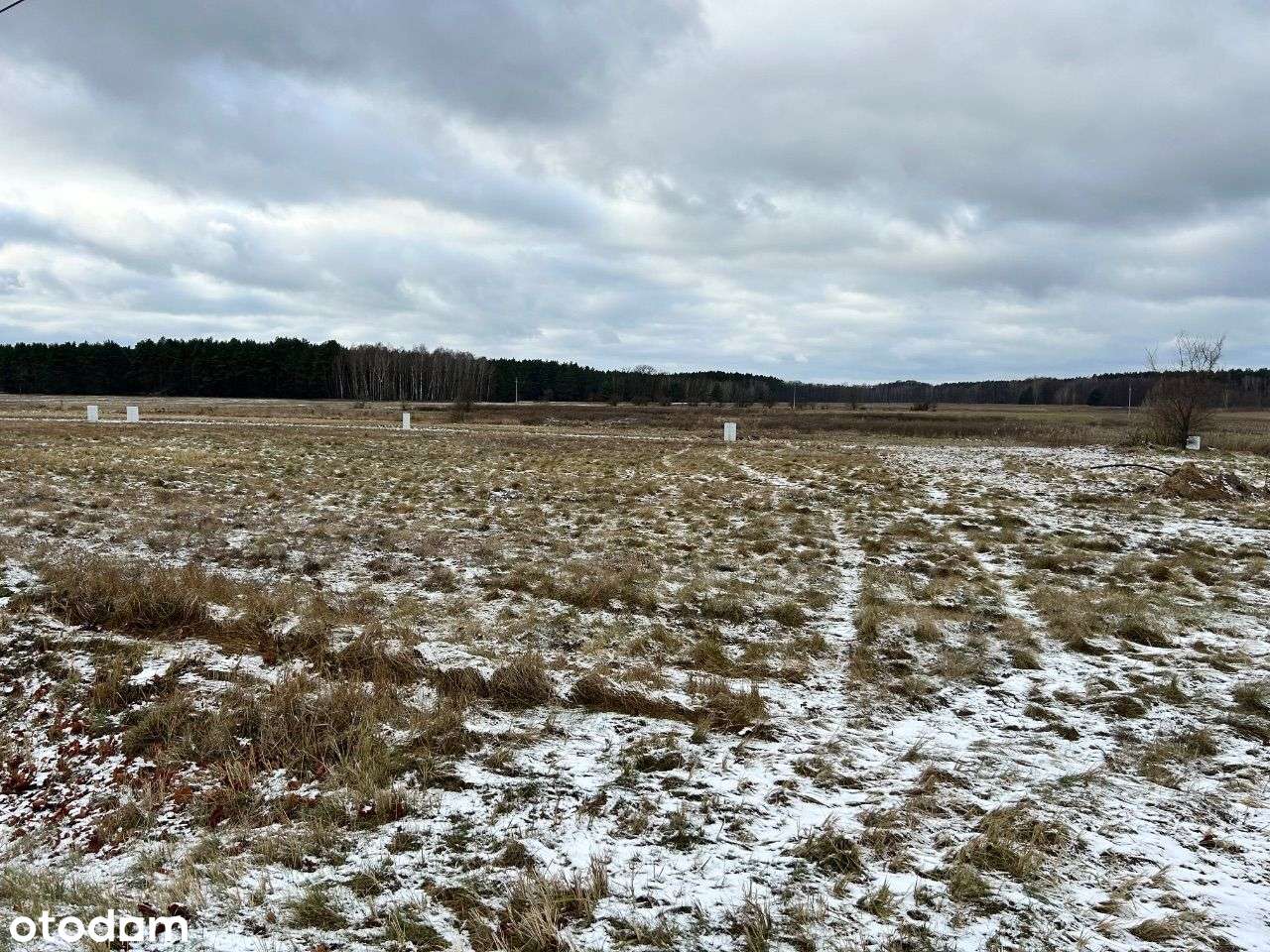 Atrakcyjne działki Kuźnica głogowska obok Sławy - Pełny obrazek: 4/5