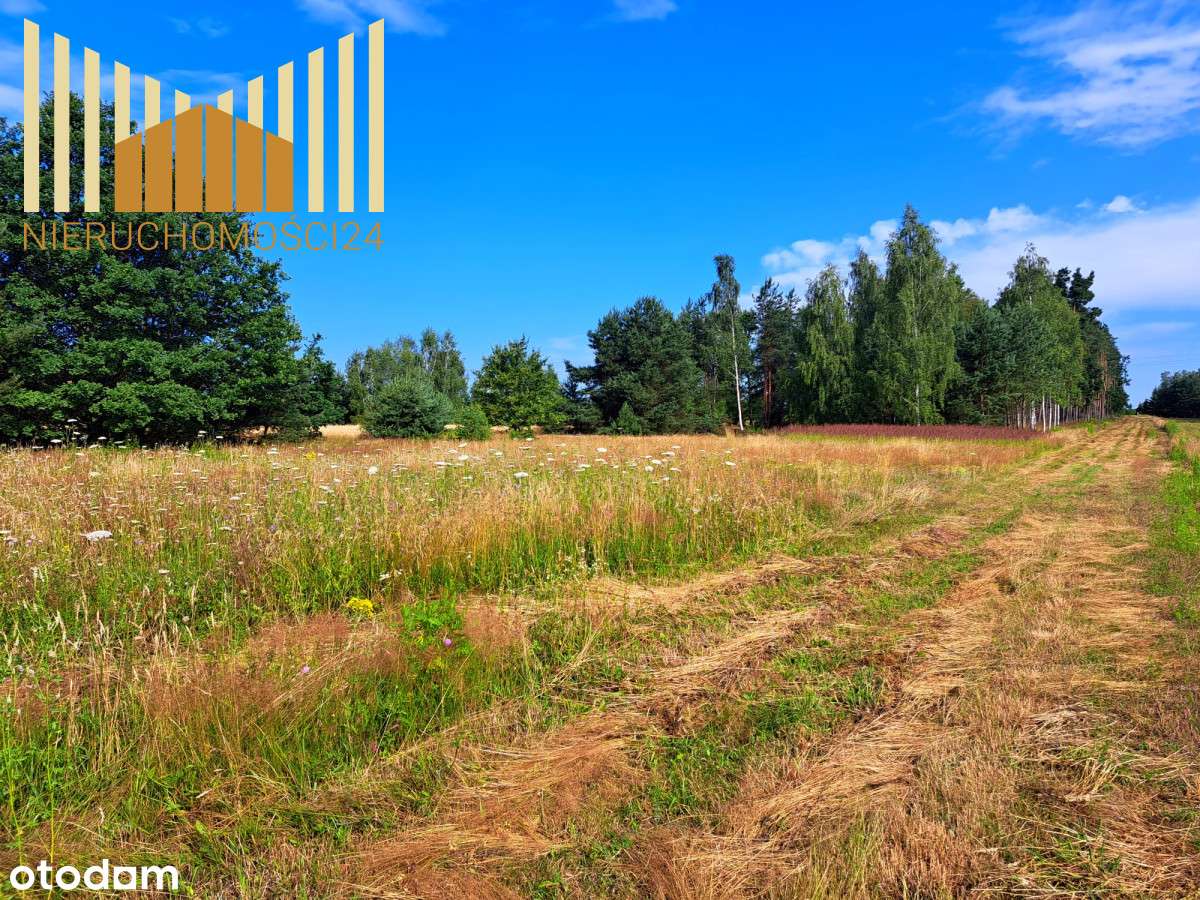 Działki 1 km. od Pkp Mrozy ! - Pełny obrazek: 4/10